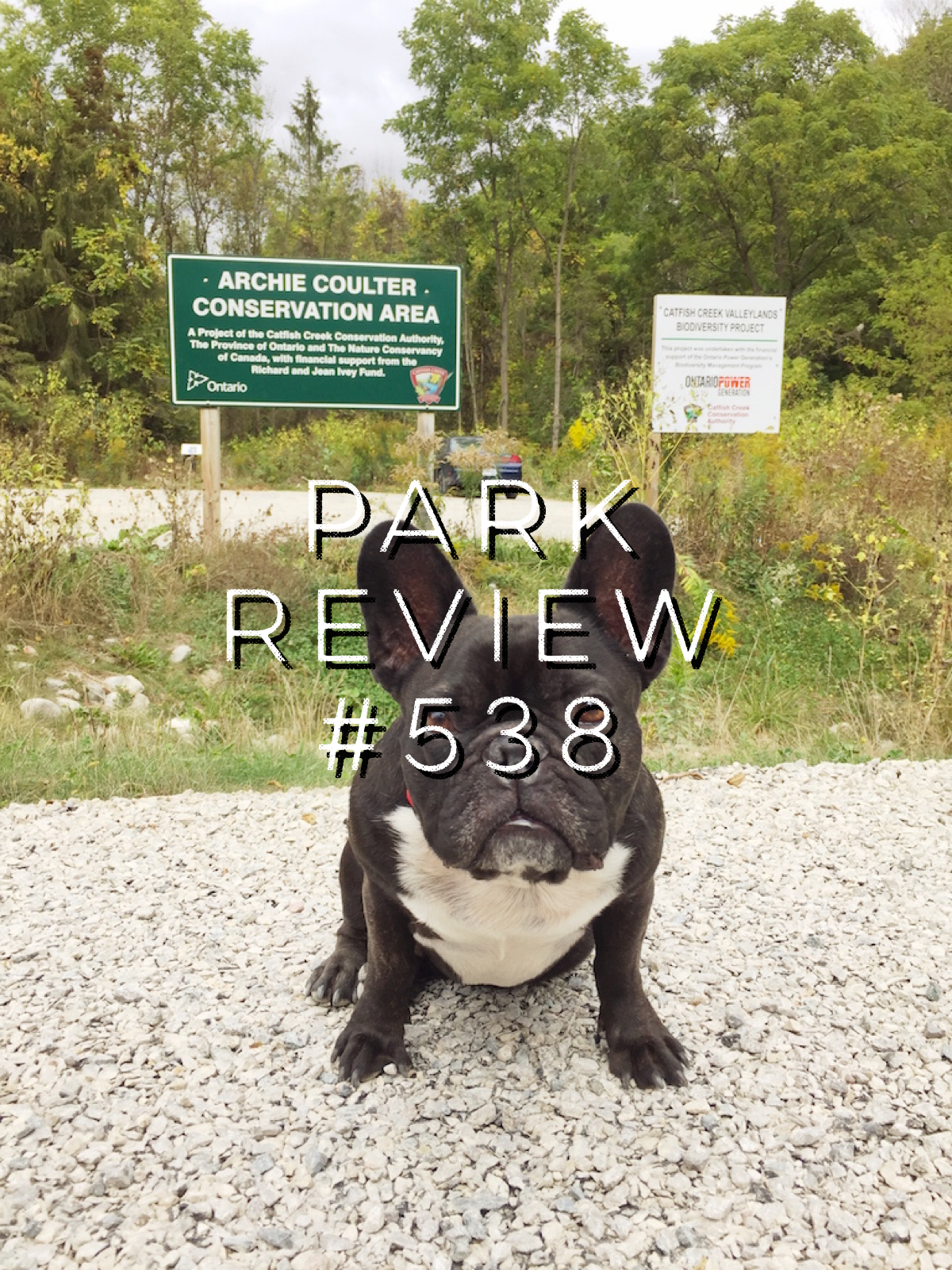 ARCHIE COULTER CONSERVATION AREA