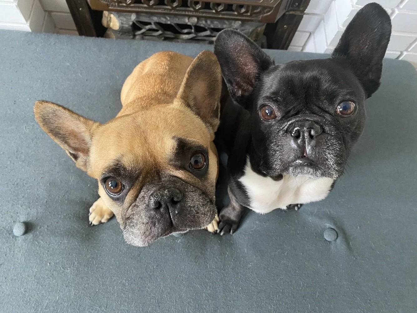 LET'S DO TALKINGTIMES 'BOUT MIRABELLY, GUYS!! (40 photos)