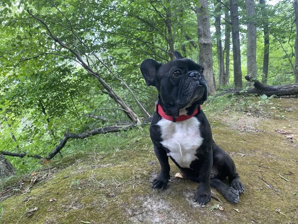 TIMES FOR HANG-OUTERY WITH THE NATUREMAMA, GUYS!! (50 photos)