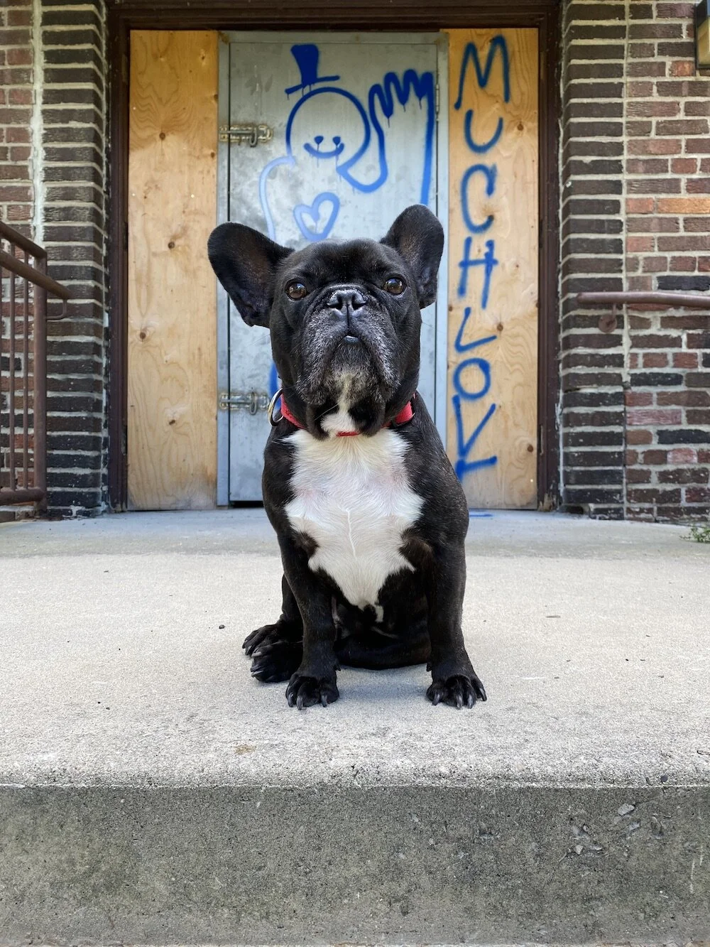 I GOT TO EXPLORADVENTURE 'ROUND A 'BANDONED BRAINMELON HOSPITAL!! (100 photos)