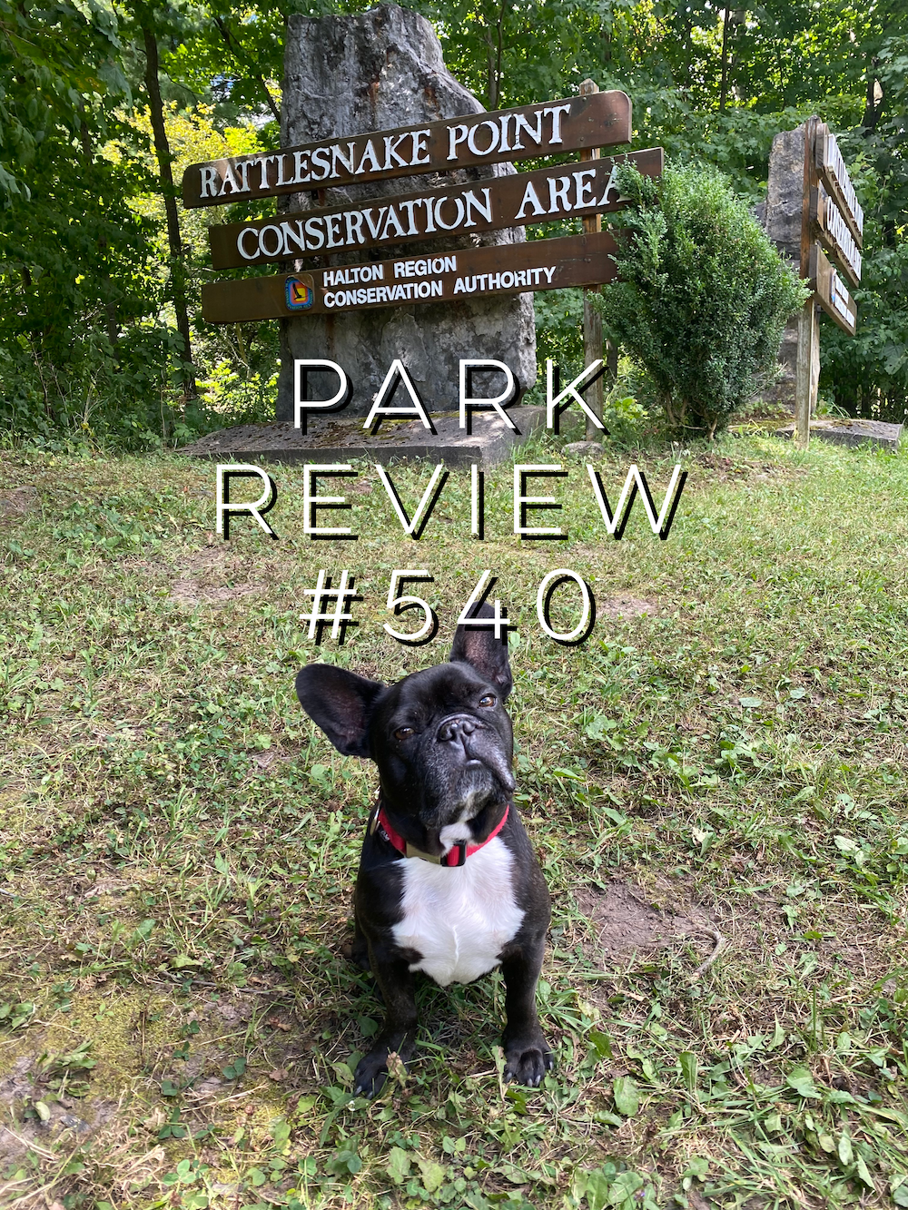 RATTLESNAKE POINT CONSERVATION AREA