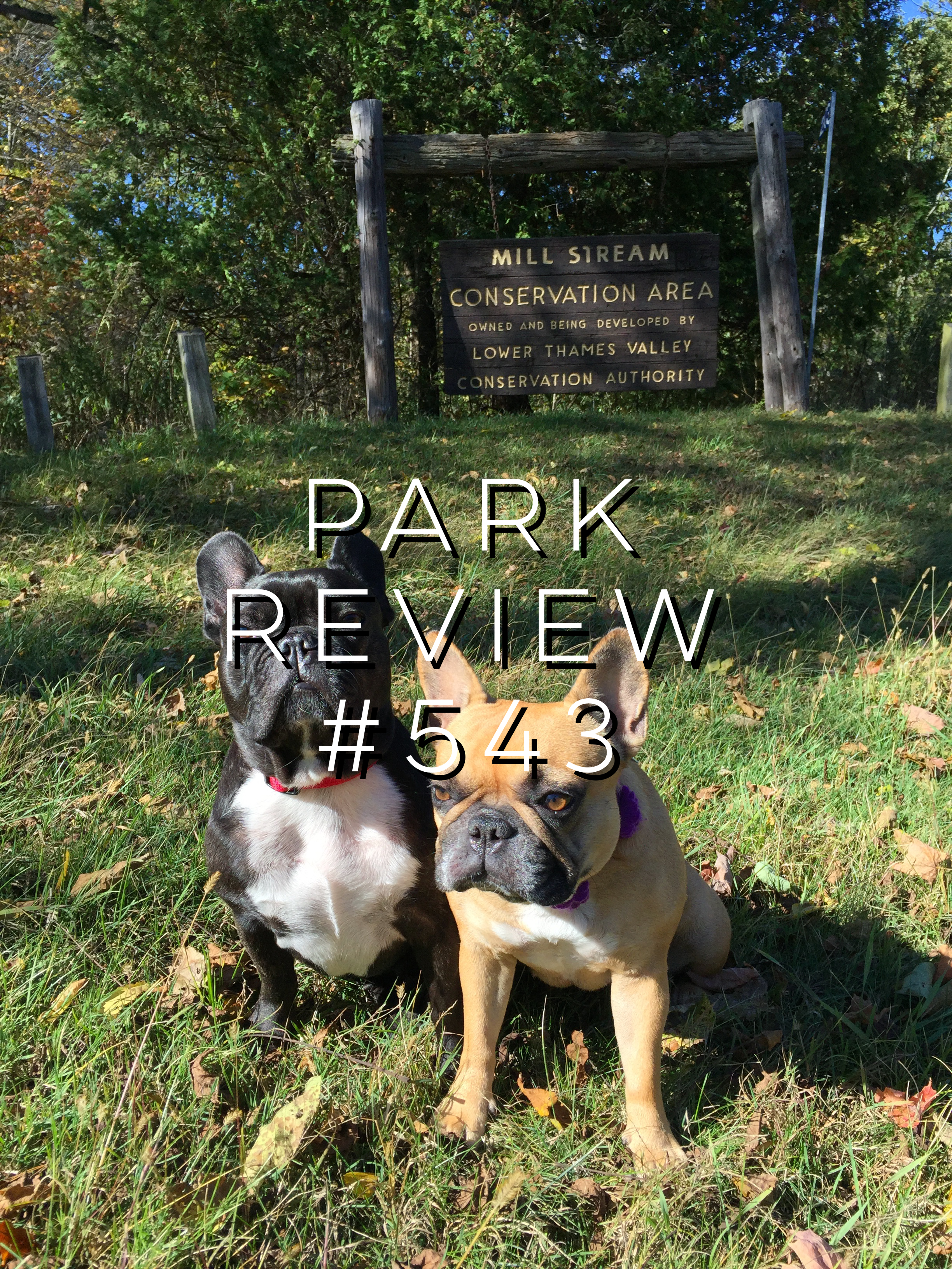 MILL STREAM CONSERVATION AREA