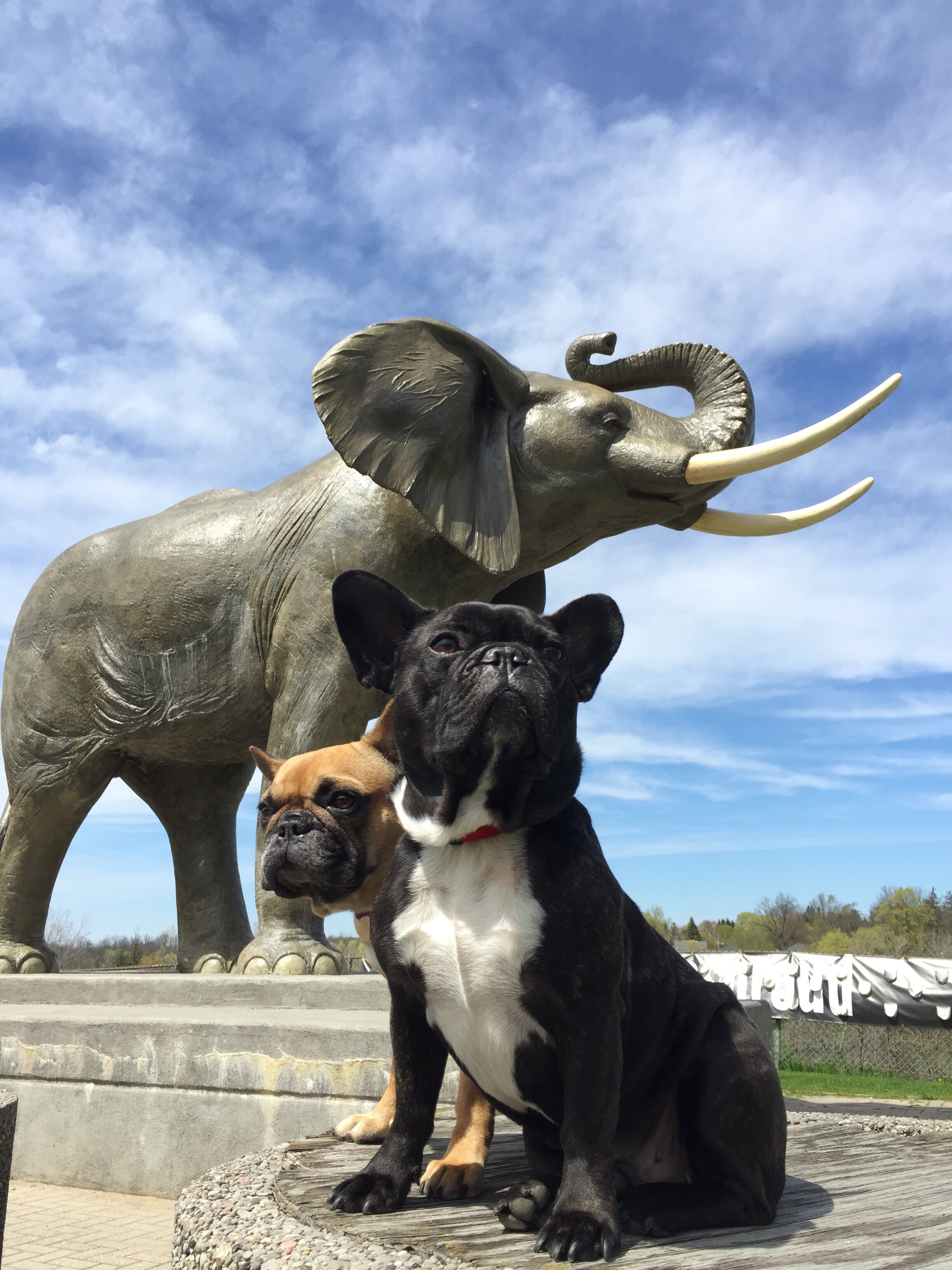 JUMBO THE ELEPHANT MEMORIAL