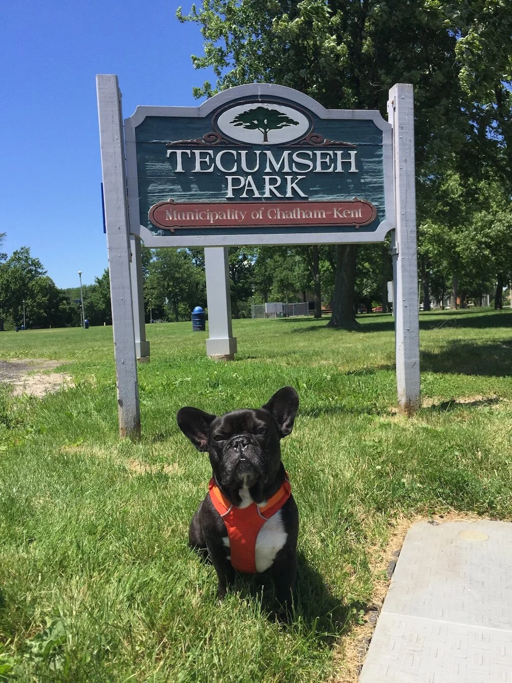 TECUMSEH PARK