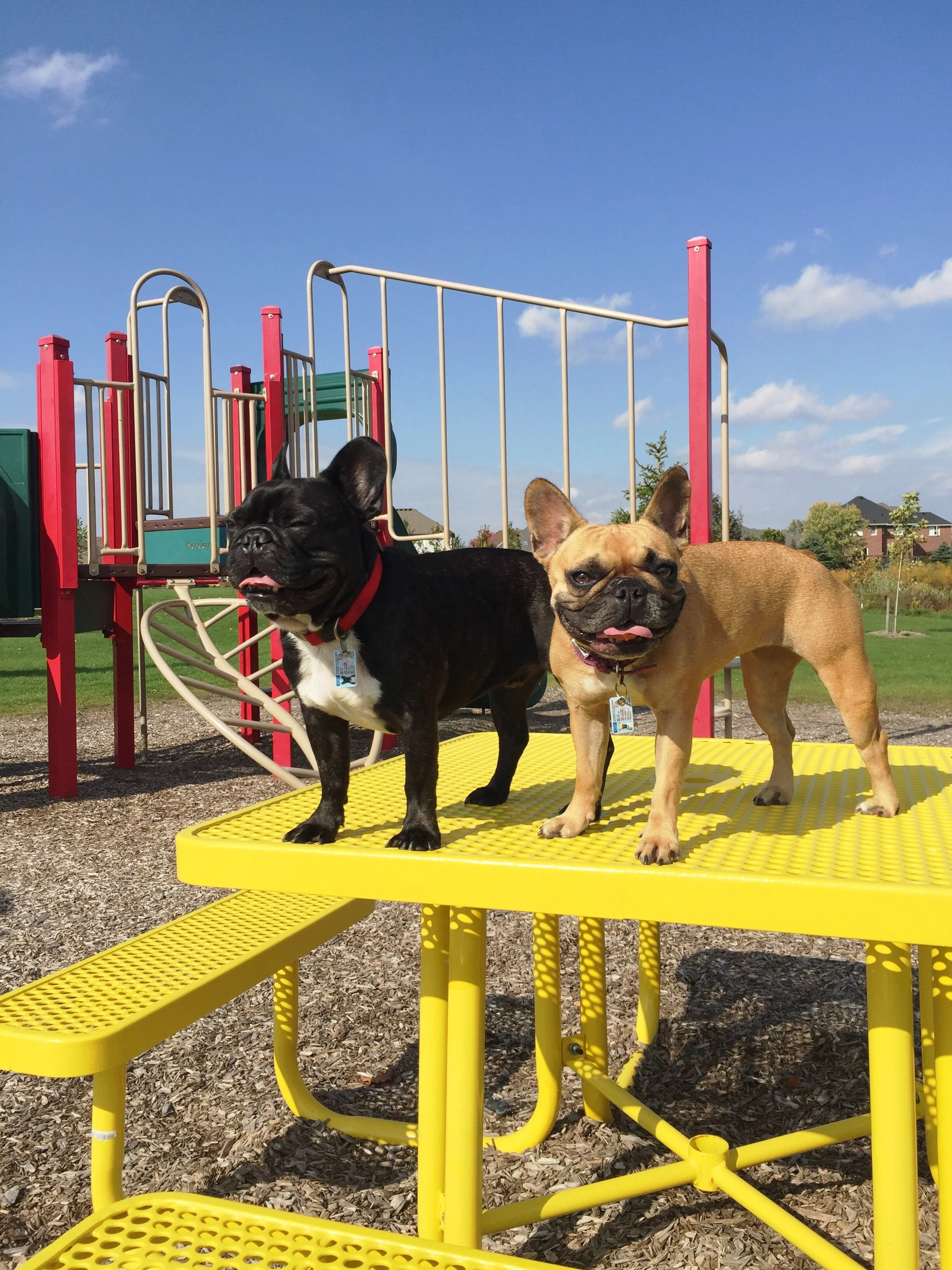 MEADOWCREEK PARK