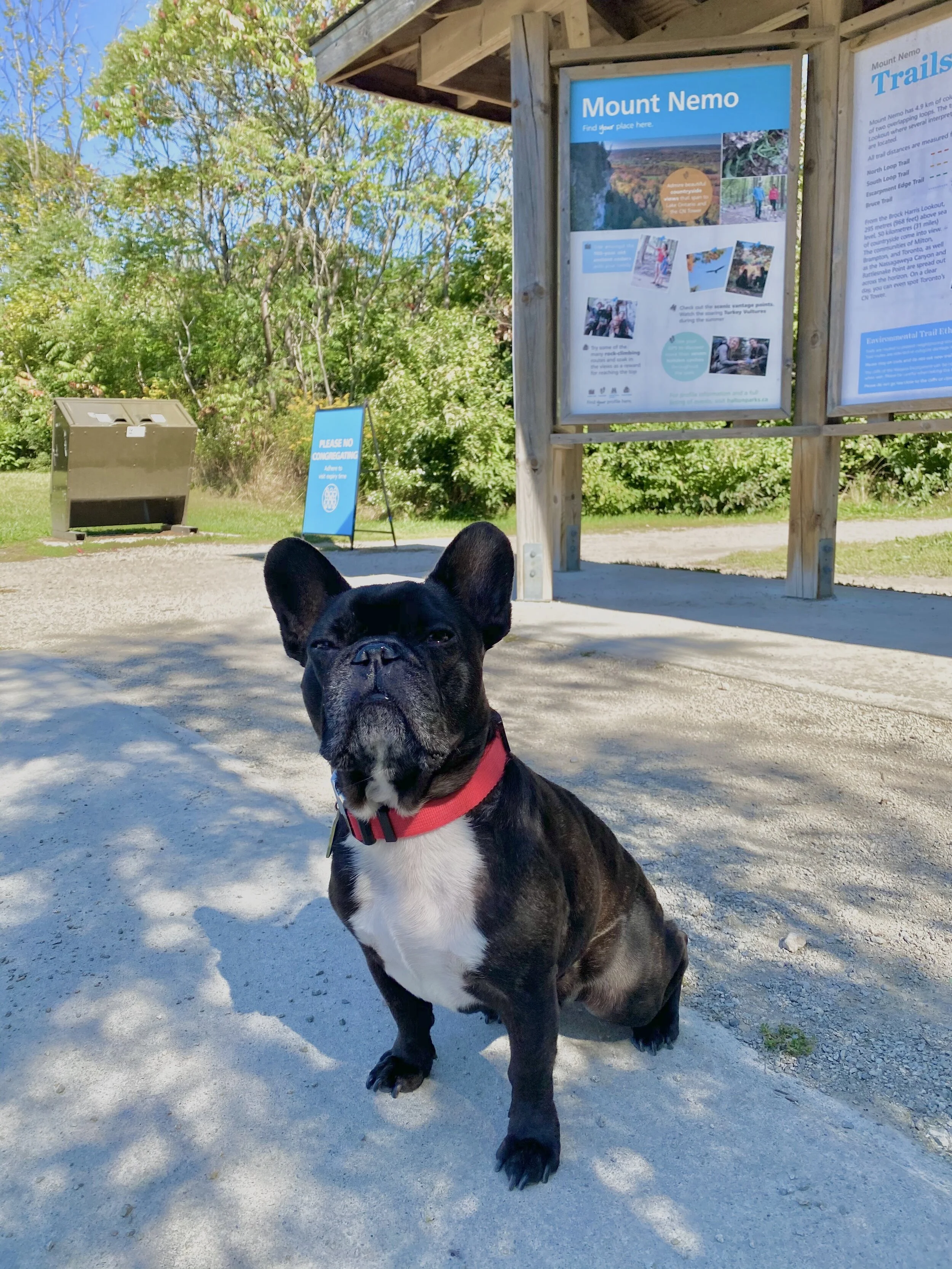 MOUNT NEMO CONSERVATION AREA