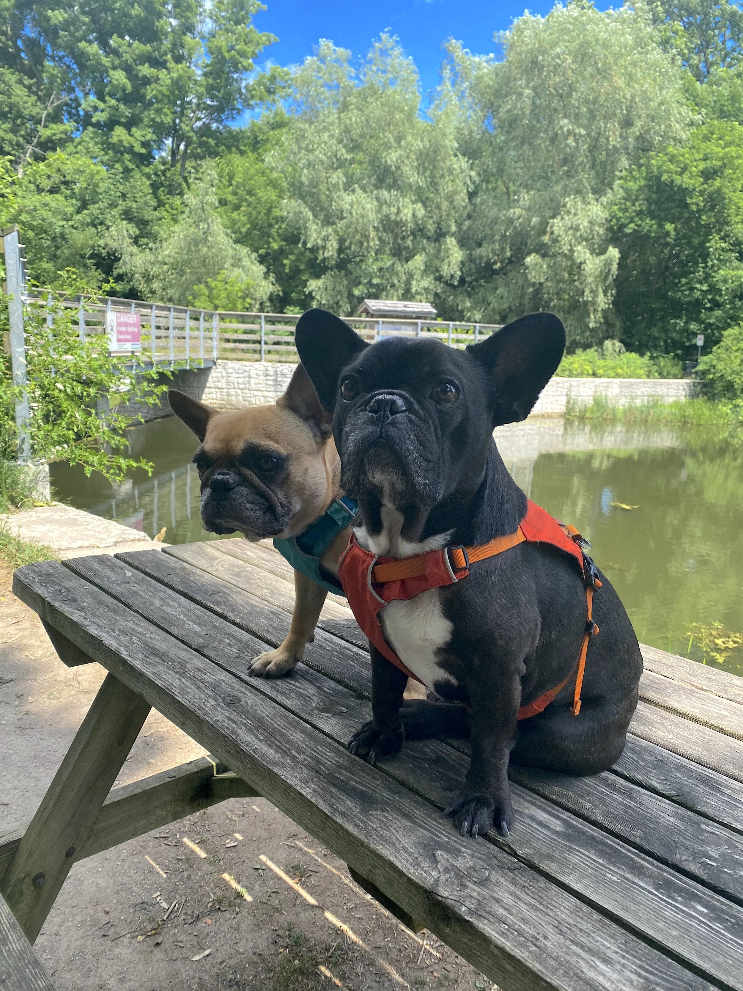 MILL POND ECO TRAIL