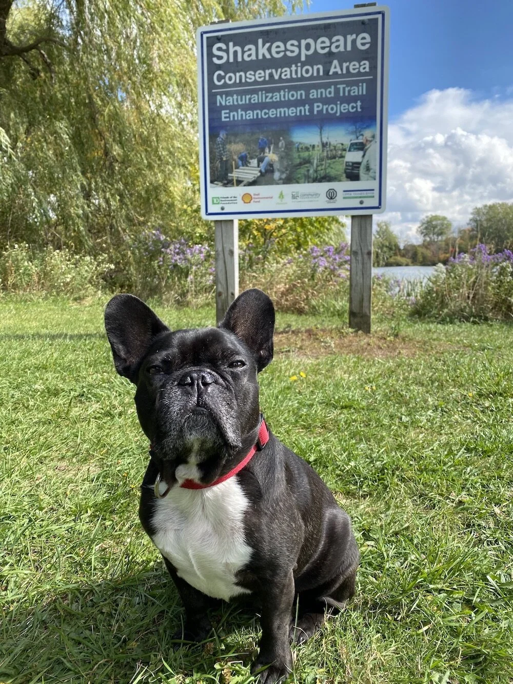 SHAKESPEARE CONSERVATION AREA