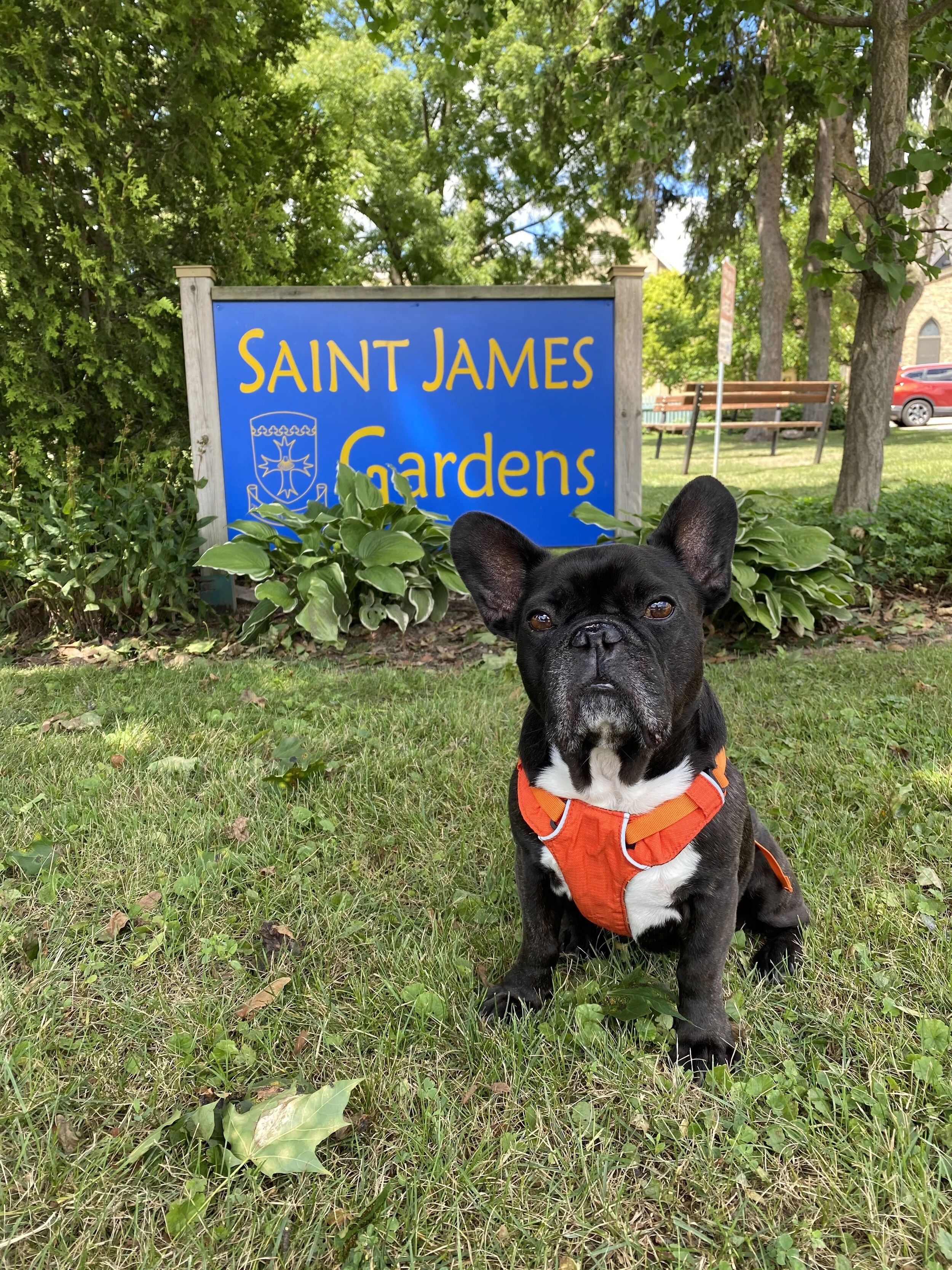 ST. JAMES GARDENS