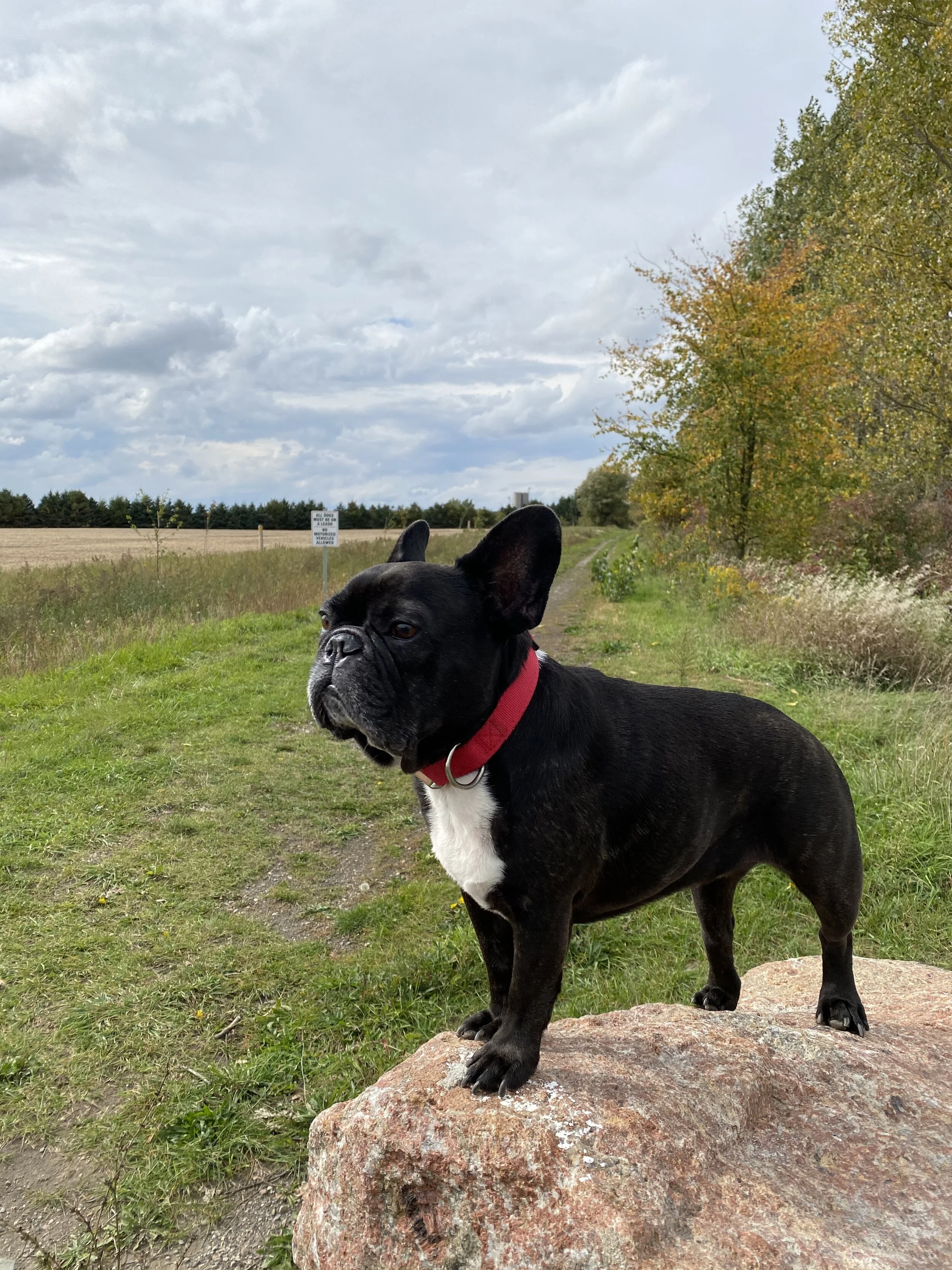 TAVISTOCK EASTEND RAILTRAIL