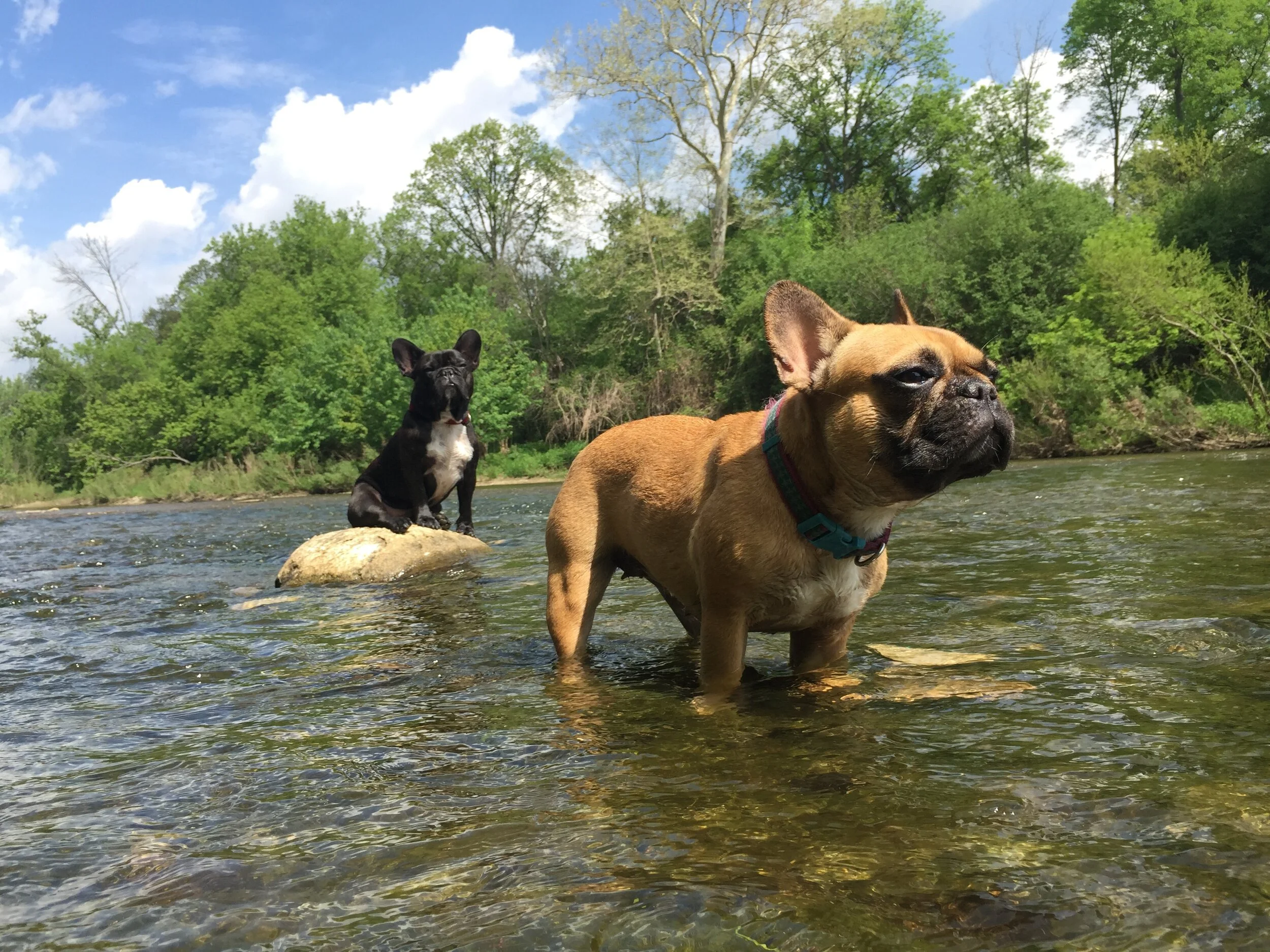 Parkmaster General Archie Brindleton takes a meeting with Mister River while assistant Mirabelle Merriweather watches for robot bears