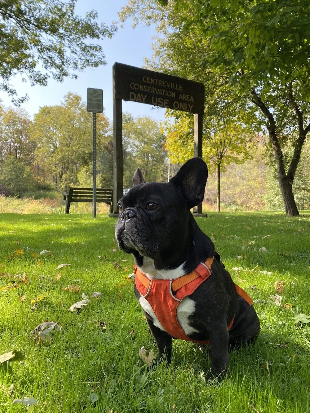 CENTREVILLE CONSERVATION AREA