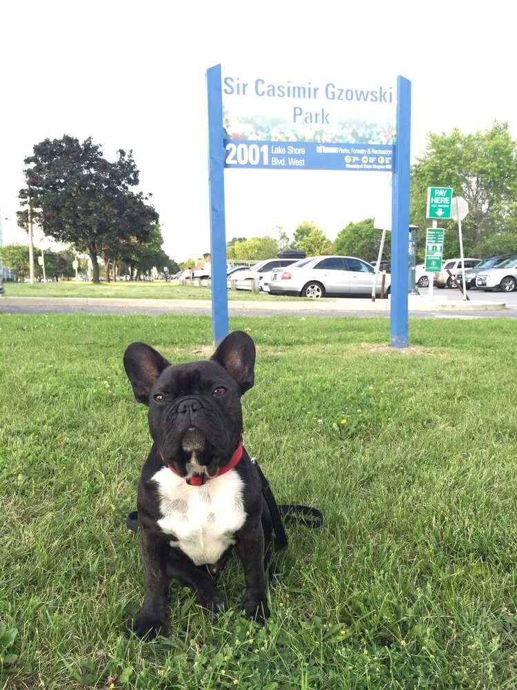 SIR CASIMIR GZOWSKI PARK