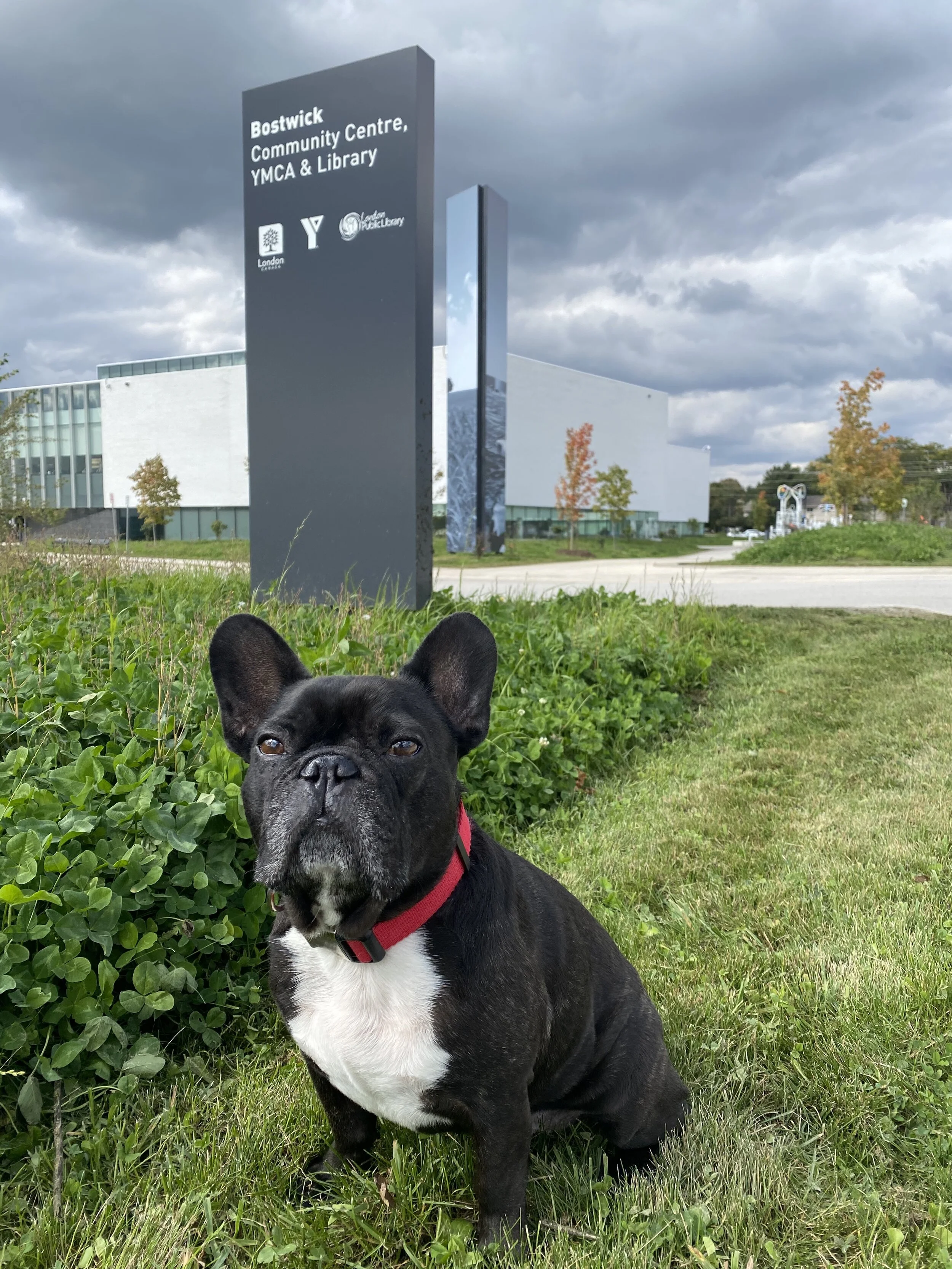 BOSTWICK COMMUNITY CENTRE (GROUNDS) 