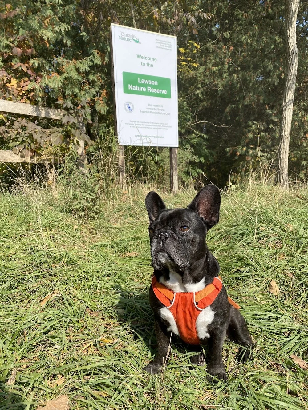 LAWSON NATURE RESERVE