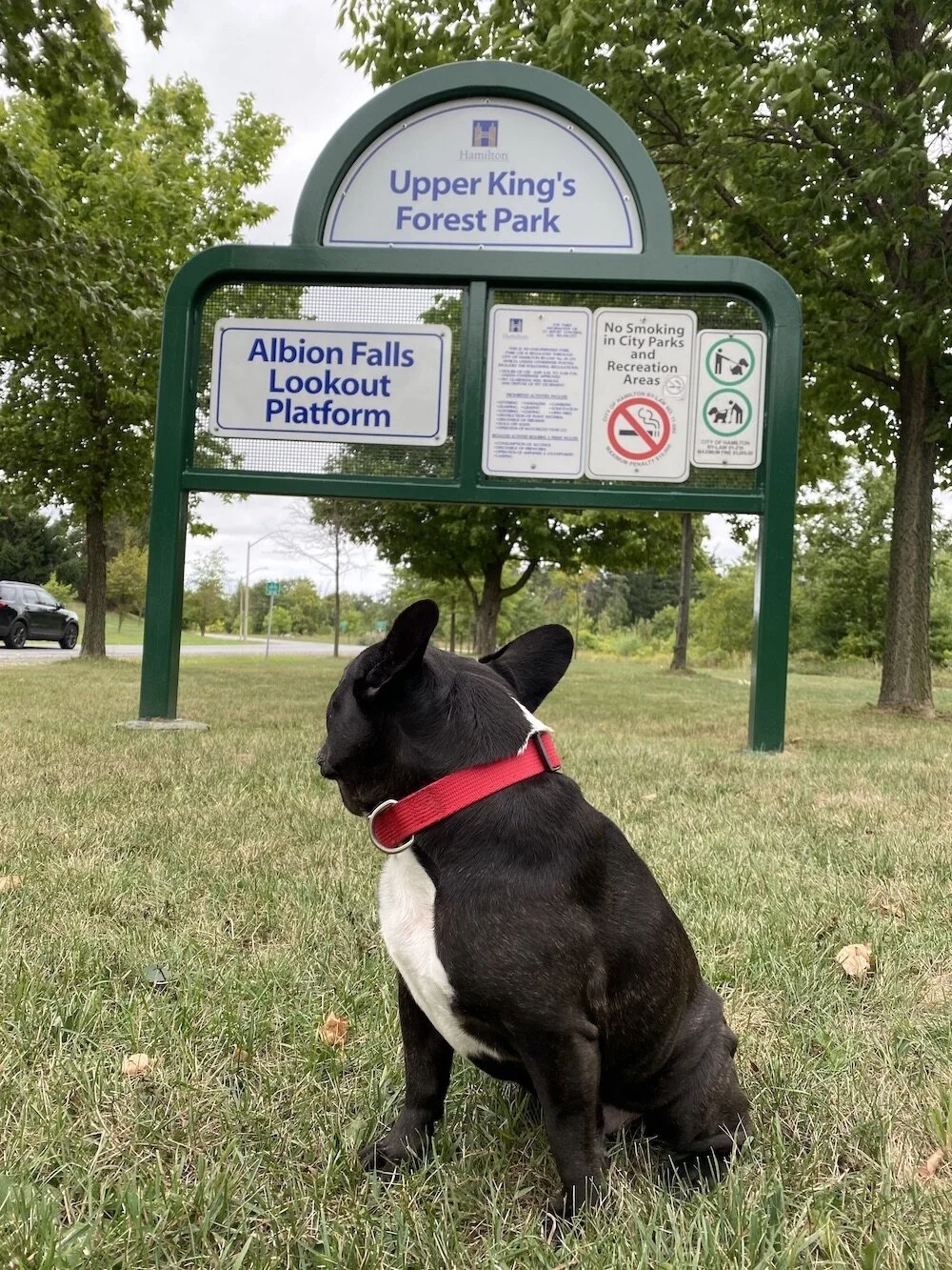 UPPER KING'S FOREST PARK