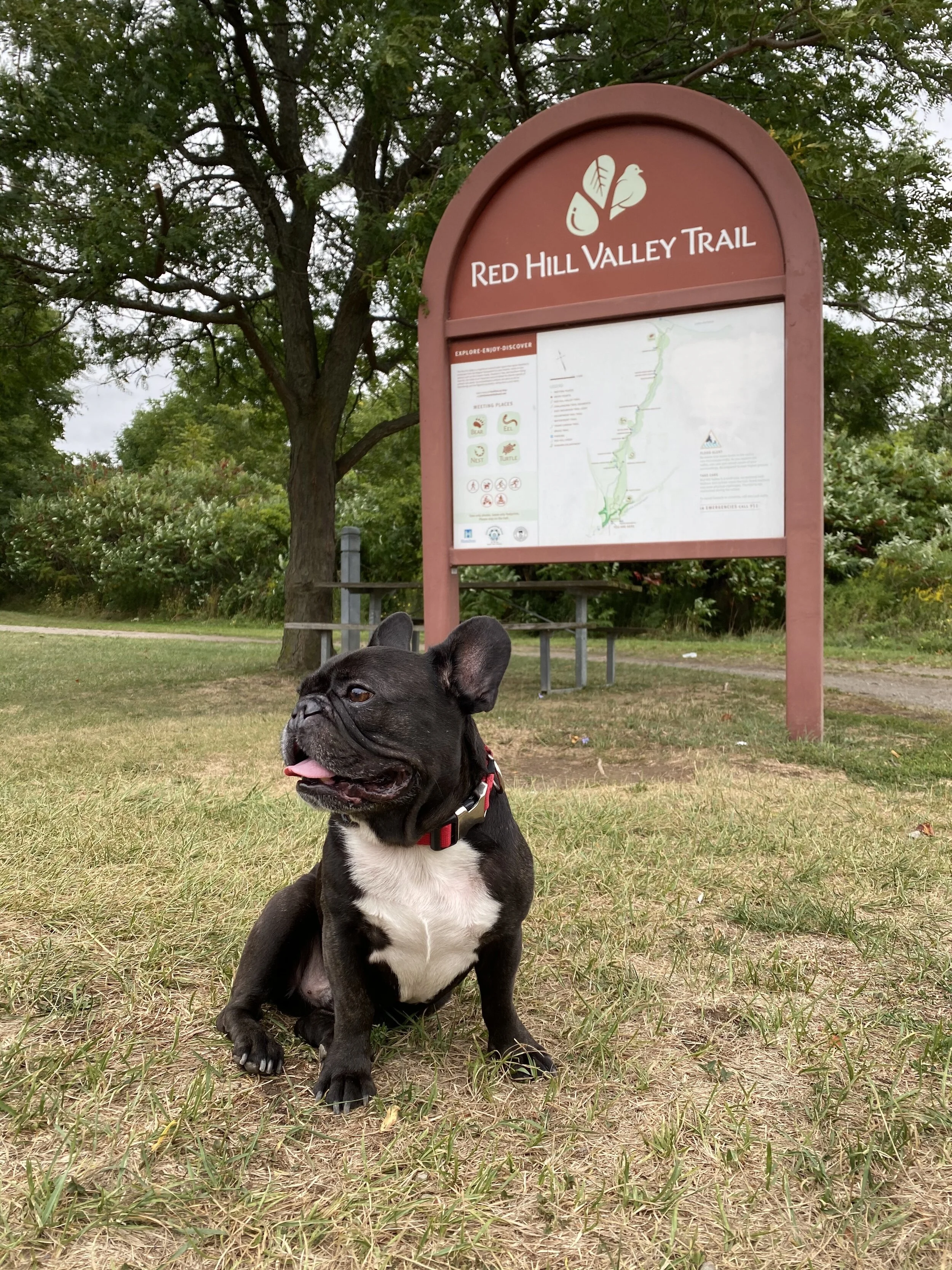 RED HILL VALLEY TRAIL