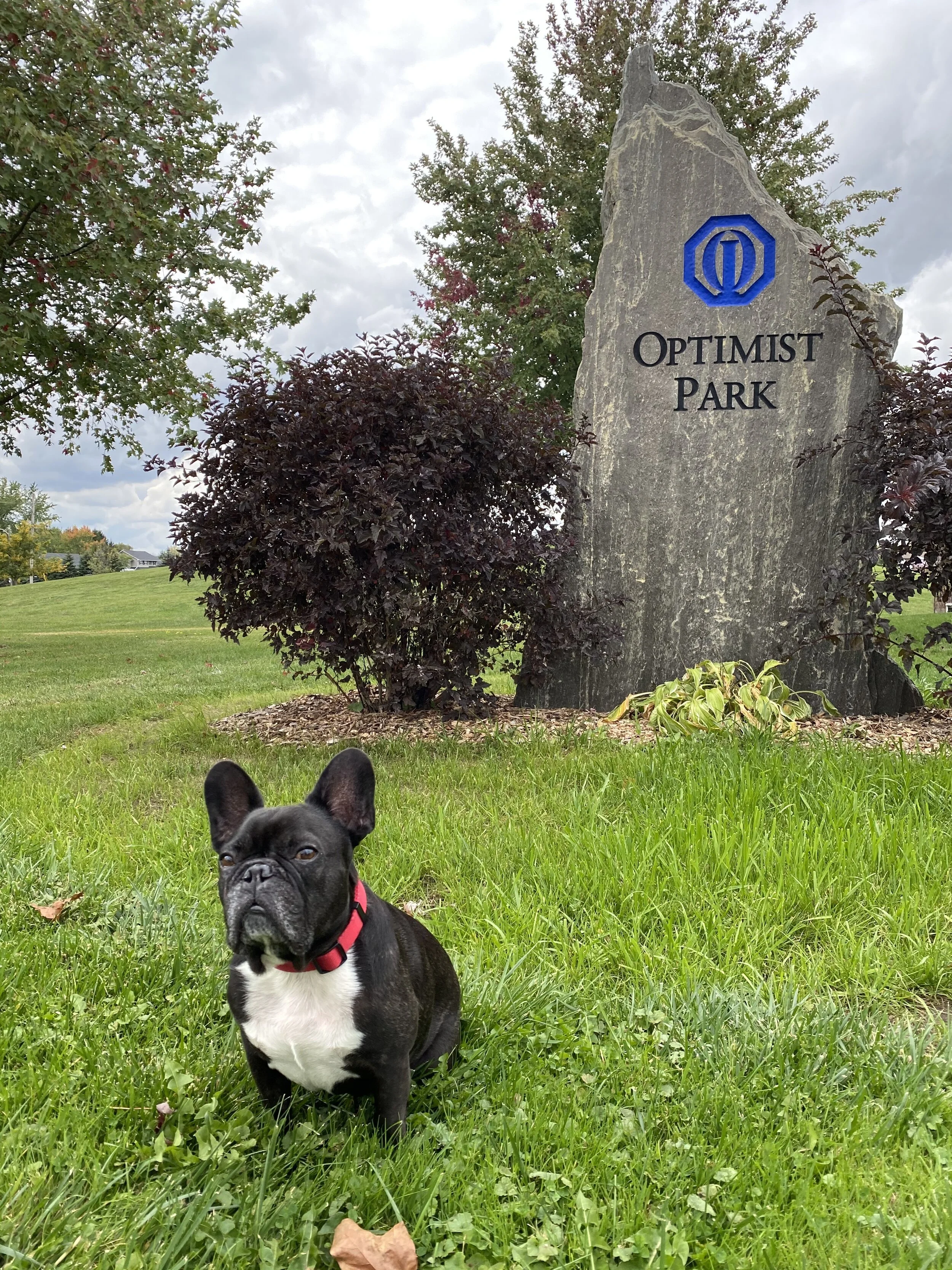 OPTIMIST PARK (SHAKESPEARE) 