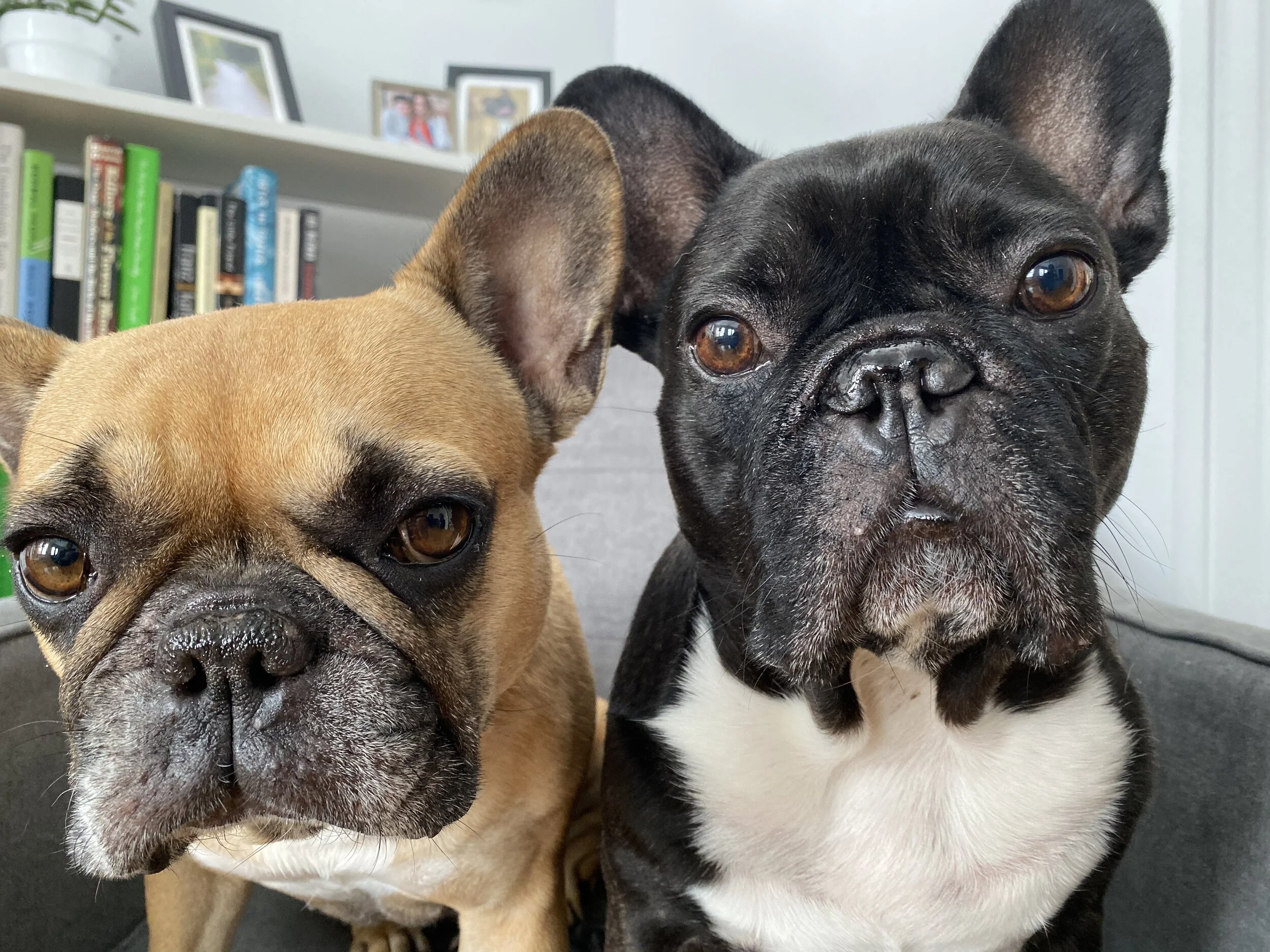 THIS IS MY LASTEST POST, EVERYBUDDY! 