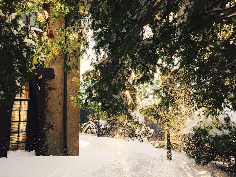 the backside of the building with a beautiful cove of snowy pines and sunlight