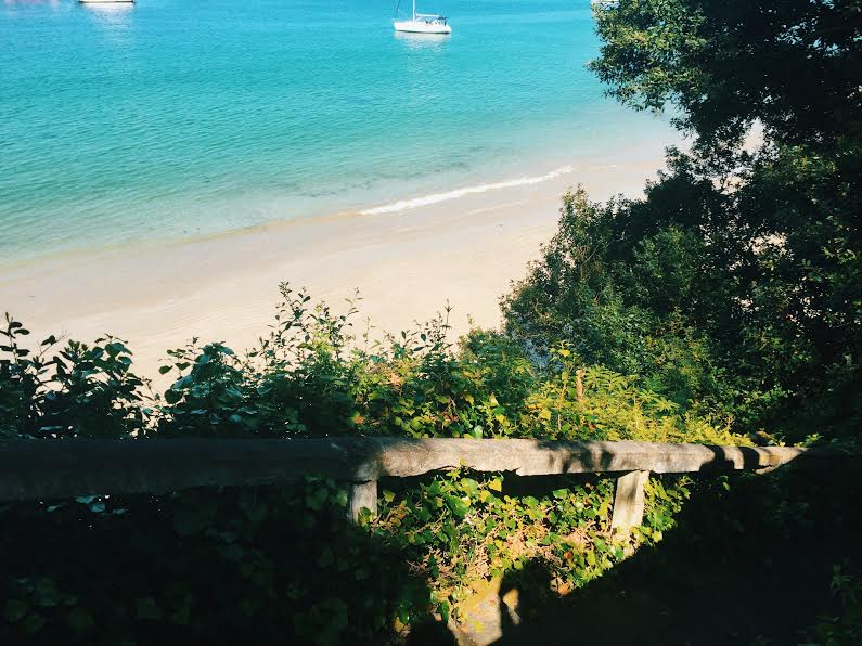 Part of the timeworn steps that leads to the beach covered in green plants