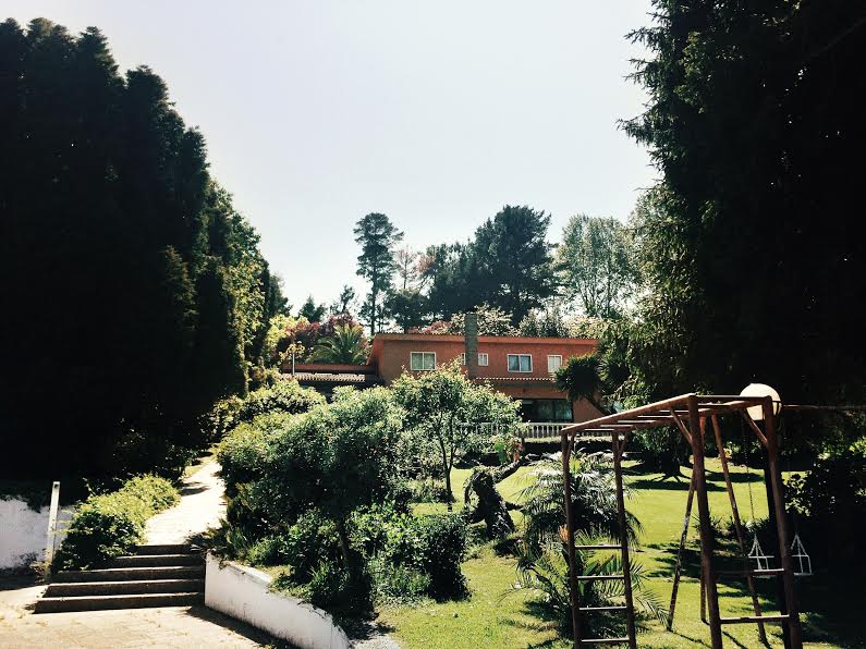 The house from the pool