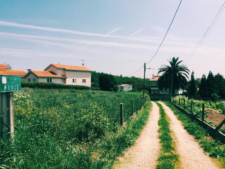 5.20 / 3:28 post meridiem // I love walking around on a sunny day. When it's sunny I stay outside. Today (5.24) through Sunday are going to be stormy and grey. On Friday (5.20) it was sunny and warm so I trekked around town for a few hours. I love seeing beautiful sites like this. A dirt road, country land, a Spanish casa, palm trees, and blue skies. Natural beauty is good for the soul! 