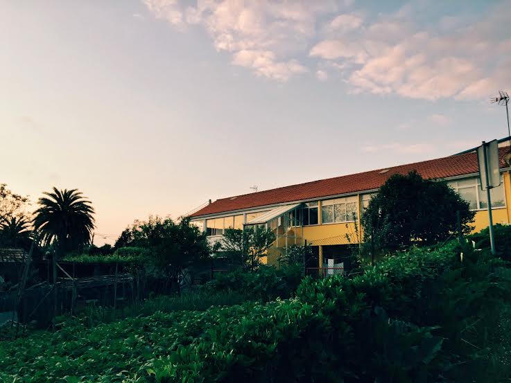 5.30 / 9:54 post meridiem // I love this house and garden. I took a night walk and stopped to glance at the beauty of the dusk sky, bright yellow house, and lush green garden. I walk past this house all the time and always admire it.