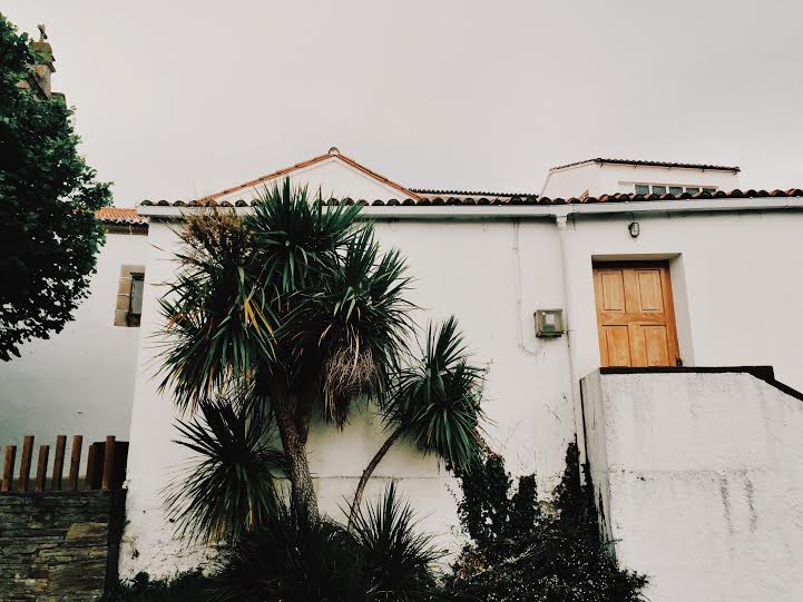 6.7 / 7:17 post meridiem // beautiful details on my walk to the beach make me happy. Cathedrals, colorful buildings, detailed tiles, palm trees, wild flowers, and cemeteries line my walk to that salt water. 