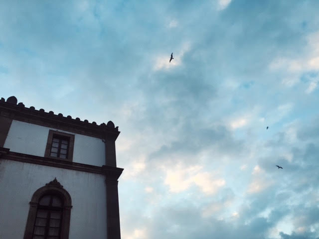 6.24 / 7:13 ante meridiem // So on Friday, the day following San Juan, I laid in bed feeling sick all day. This photo was taken before I even got home and went to bed but I'm counting it because it's obviously morning time at this point. This was my view while waiting on a cab to take me home.