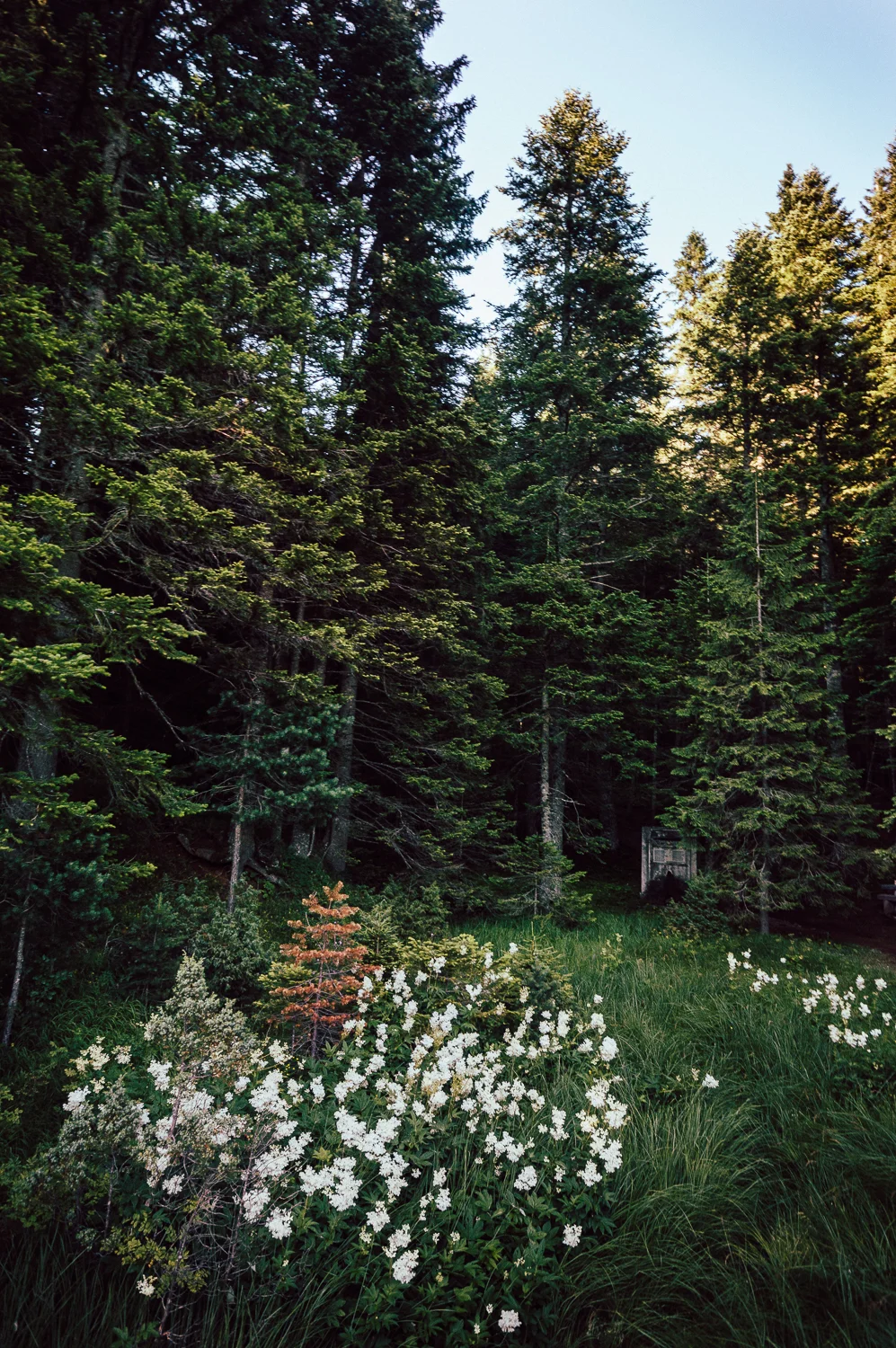DSC_0512.jpg