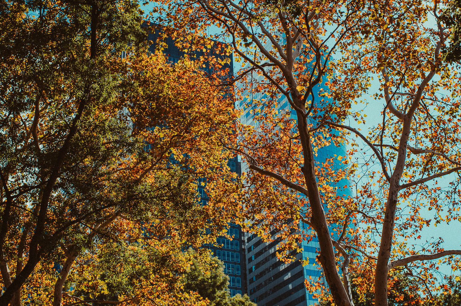 NYC Couples Shoot : Madeline Faye Photography