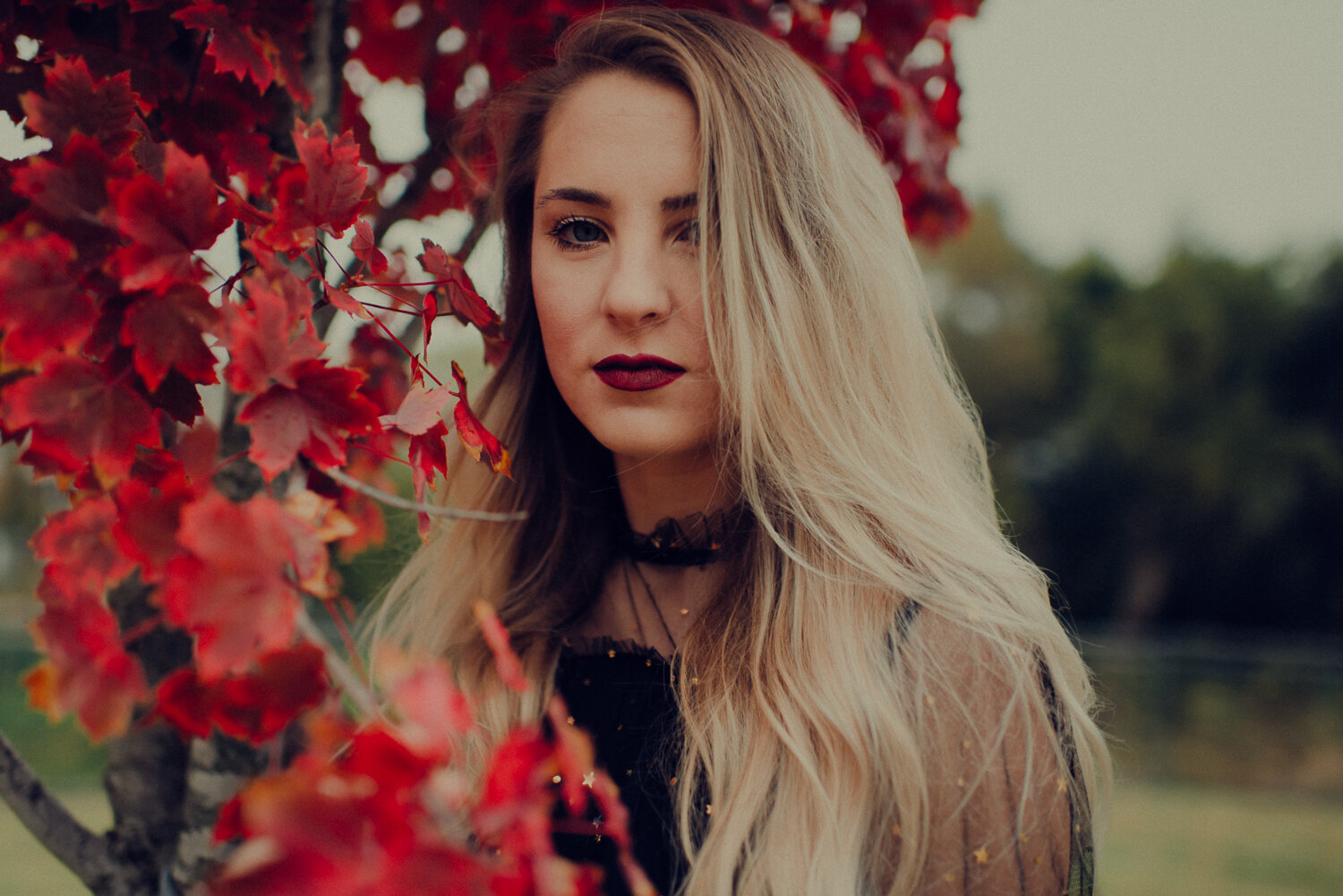 Fall Photoshoot