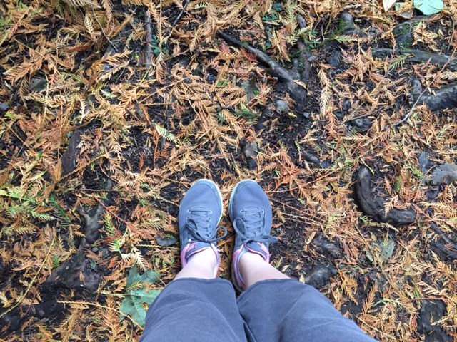 One of my trusty tools in my arsenal: taking long ass walks/hikes wherever I may be. Not only do I get to check out the surrounding areas but it is my #1 decompression method when I need to get some perspective! As you can see, it's autumn in the Pacific Northwest.