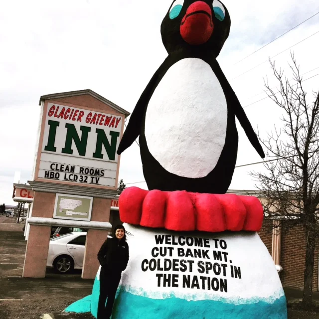 Our office's legal secretary took me for a 10 minute tour of the town: which included a mandatory stop at Cut Bank's famous penguin :)