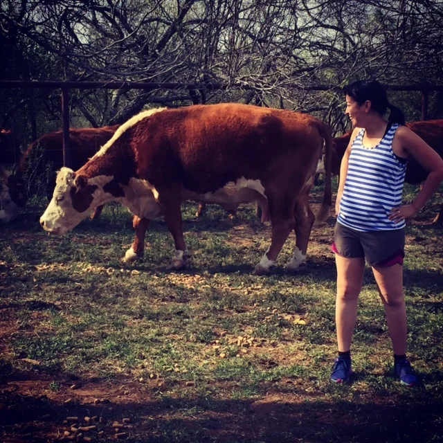 While in Dilley, Texas—I am living with a local family who owns a cattle ranch. I always am mindful not to let these guys out of the gate when coming to and from work at the detention center.