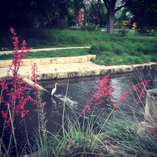 Something I try to do for myself is take long walks to decompress after a long day at work. Here's a shot from a recent walk along the Riverwalk here in San Antonio. Looks like a little bird friend was doing some contemplation, as well.
