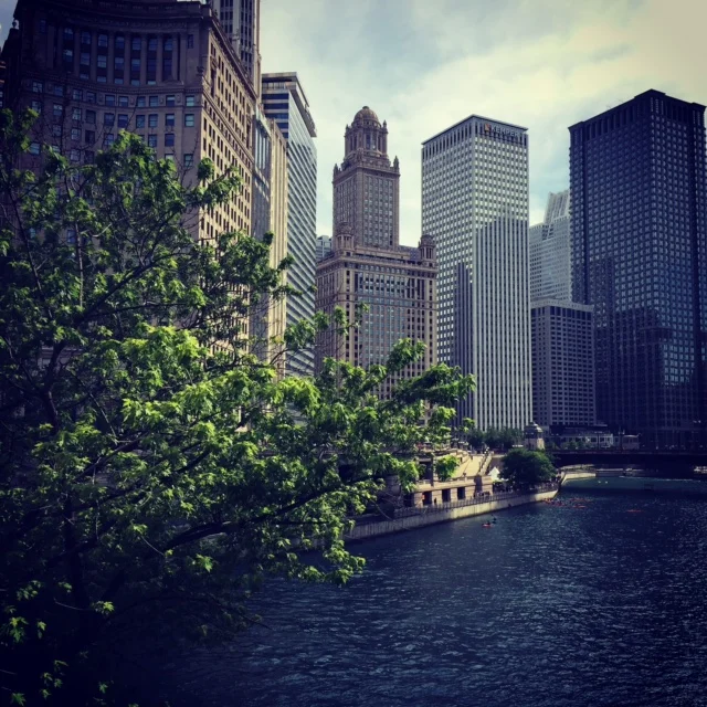 The Chicago River -- on the far right side of this skyline is the Trump International Tower, and I just couldn't stomach having it be included in this photo. Talk about an eyesore.