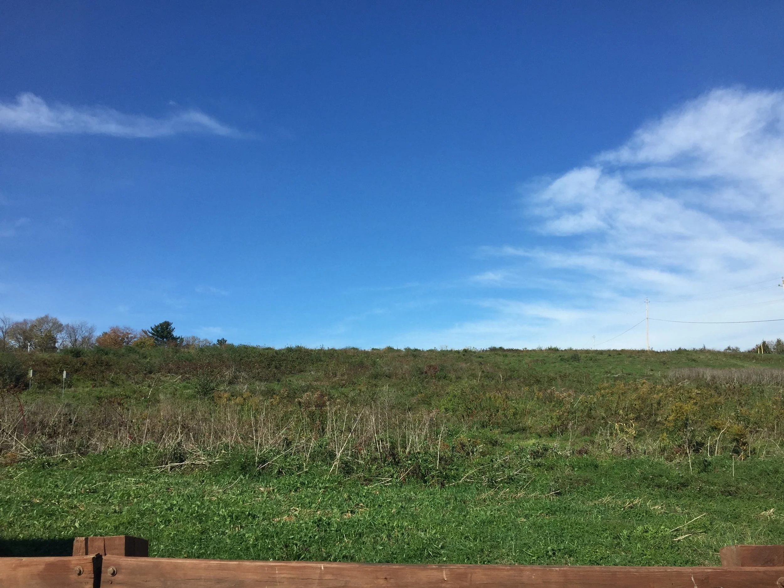 While working at Berks County Residential Center, I eat my lunch around some of the surrounding areas -- including outside of this hiking trail a couple miles away. The fact that the detention center is located among some beautiful scenery makes for some real cognitive dissonance.