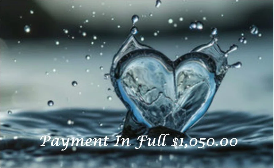 Payment in Full $1050.jpg