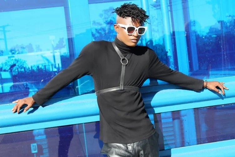 Mystery look 86: Style enhancer