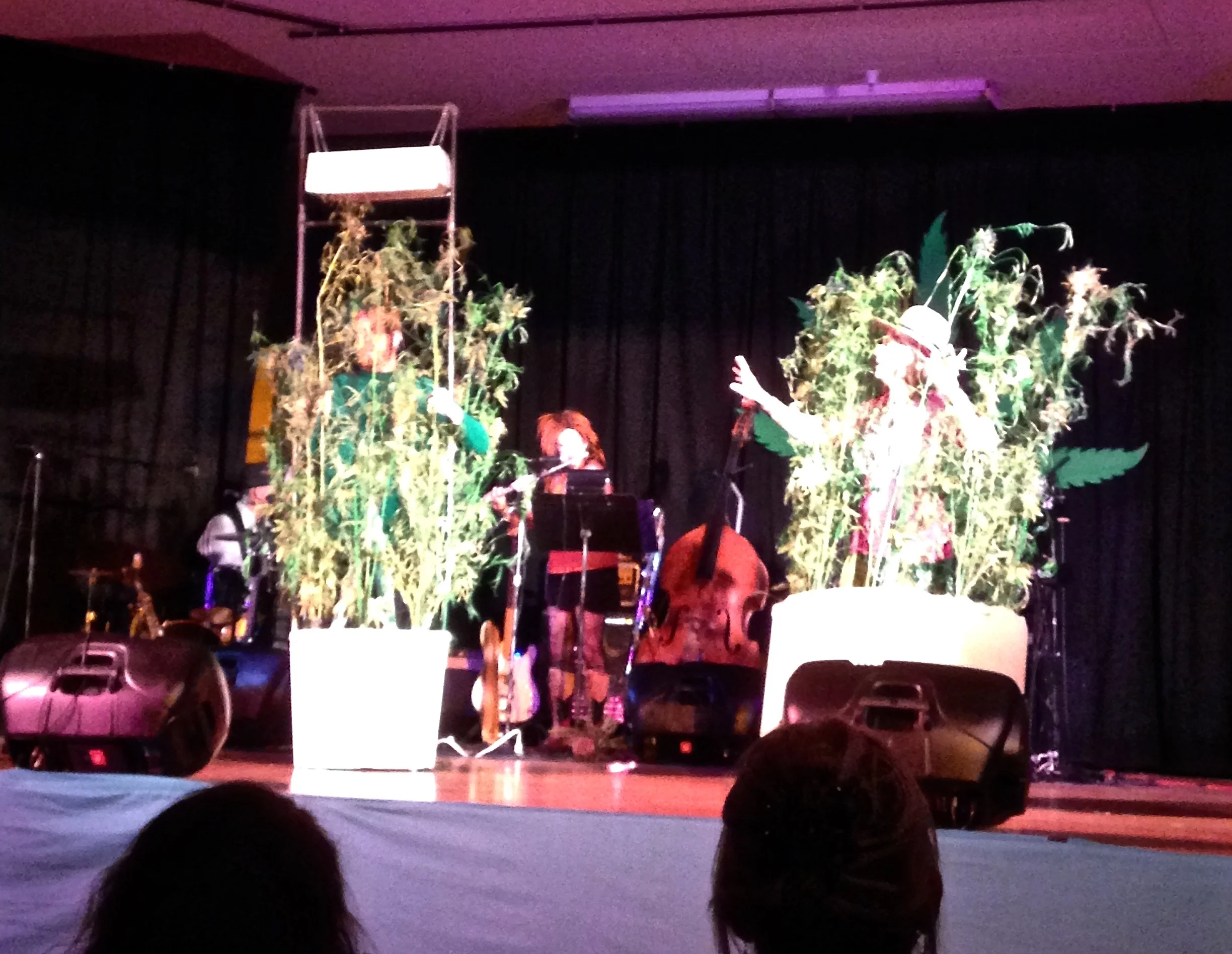 Mary Jane The Musical
