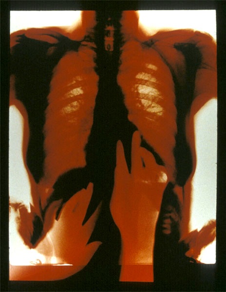 Detail from the installation of : A Labor of Lust (1990)
