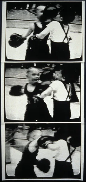 Young Boxers