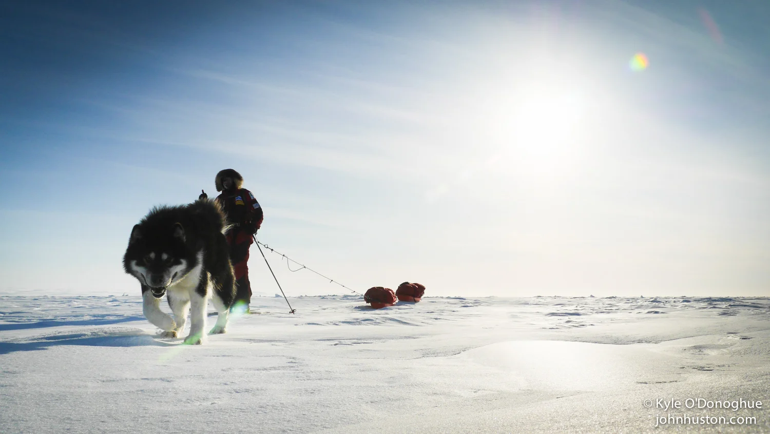 BEAR, HARE, AND HEAT