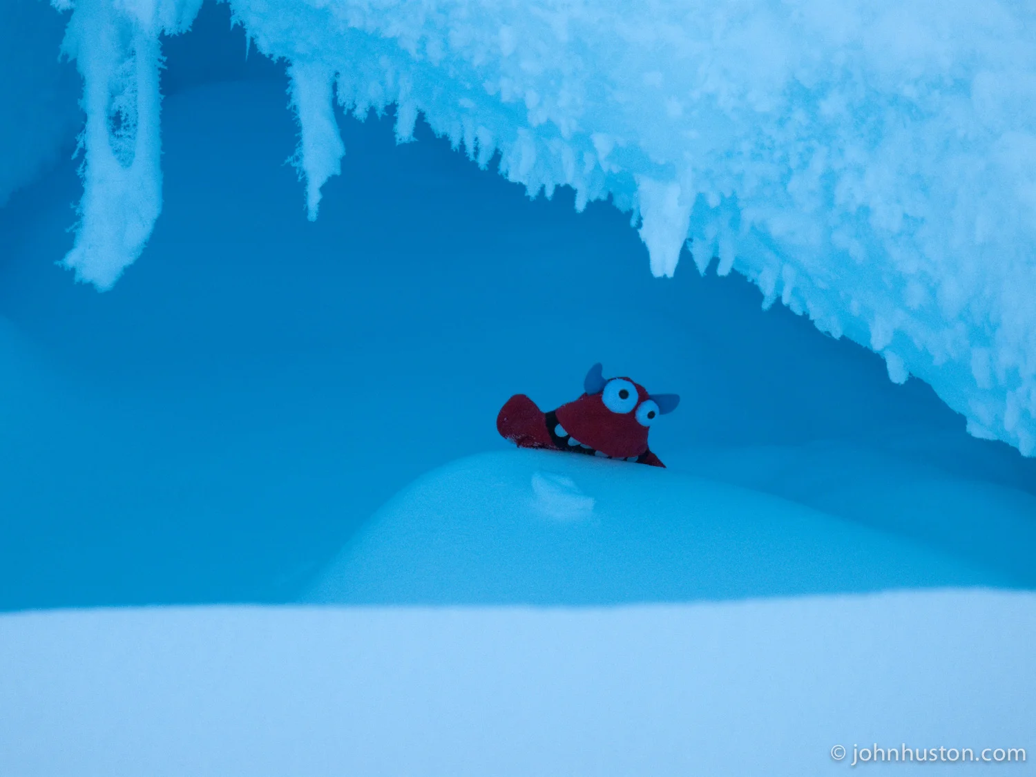 DAY 32 - WILDLIFE (PART 2)