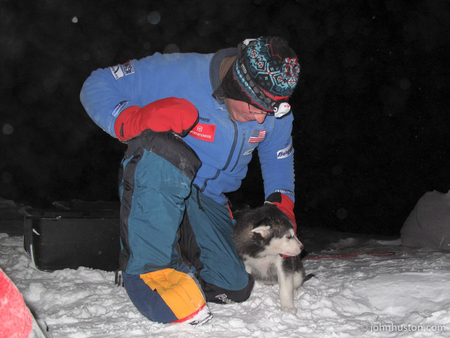 A puppy visitor at -30°F.