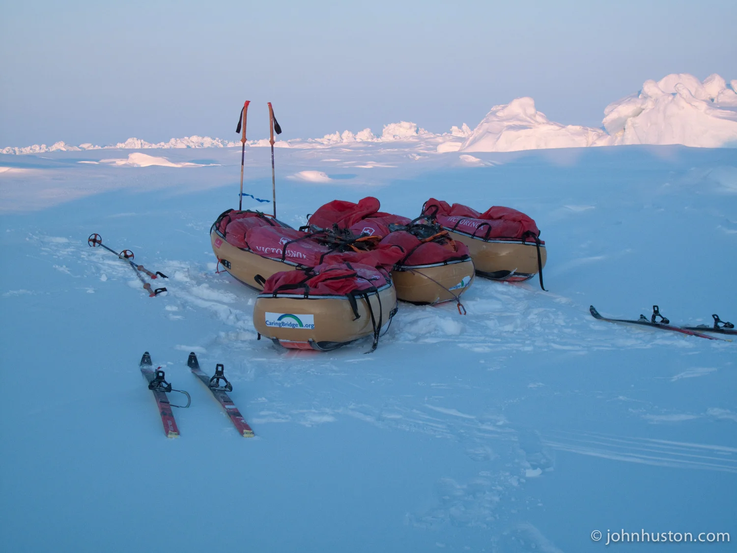 Our quiet, steady companions ready to go.