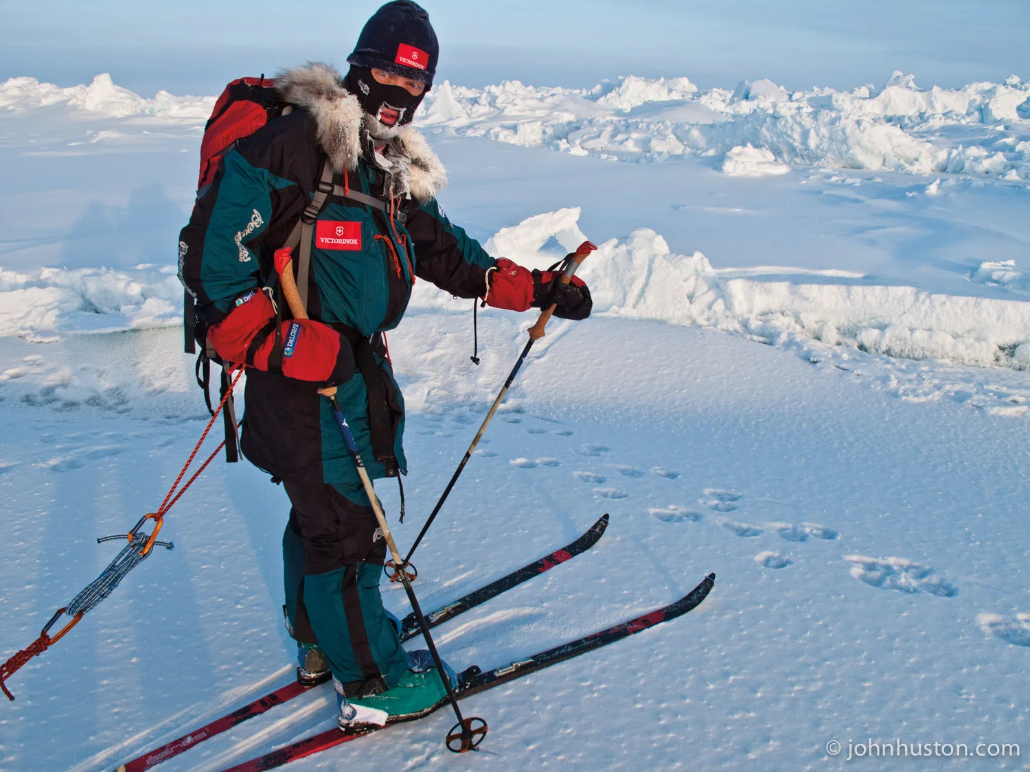 DAY 20 - MOTHER AND CUBS