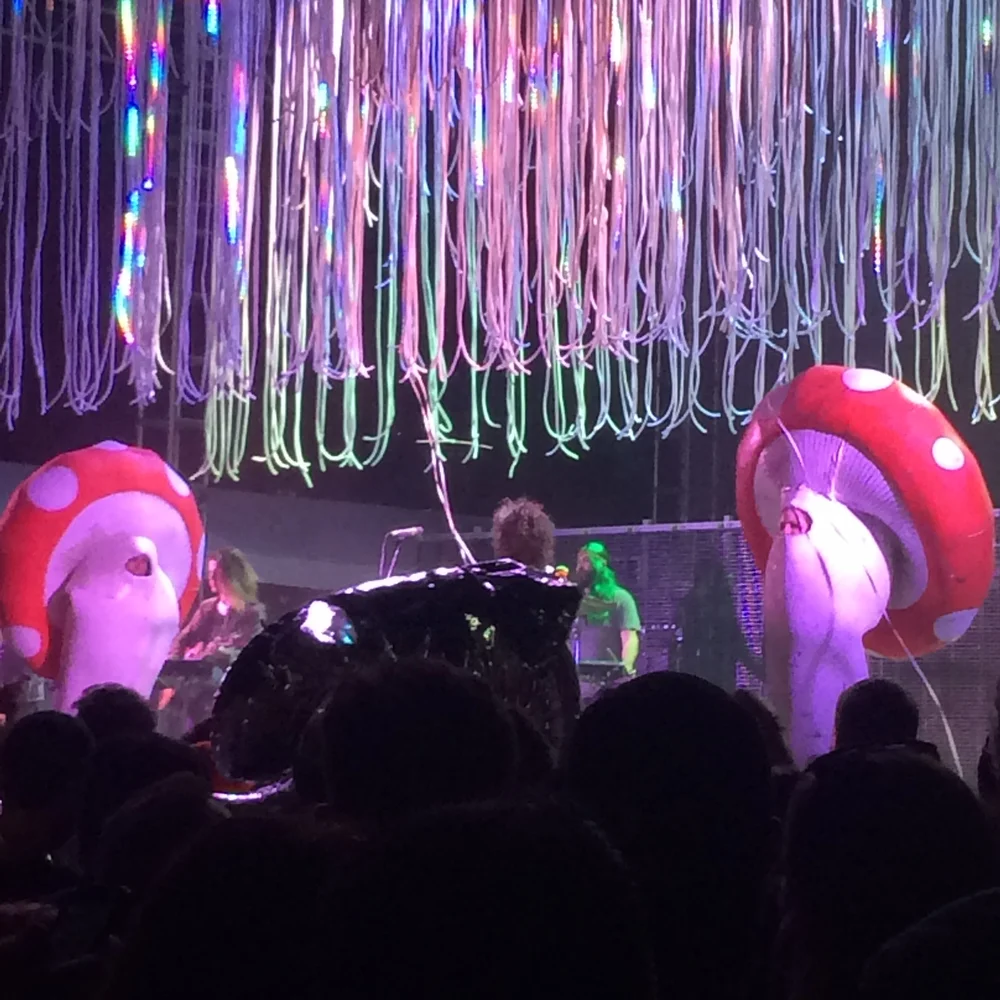  Toadstool, is that you?&nbsp; 